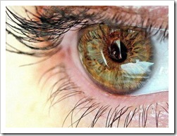 7лечение демодекоза глаз