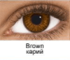 brown-uk-2